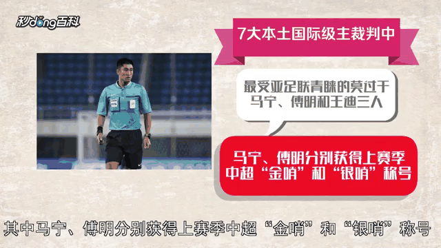 裁判解析：比赛规则严格执法确保公平的简单介绍